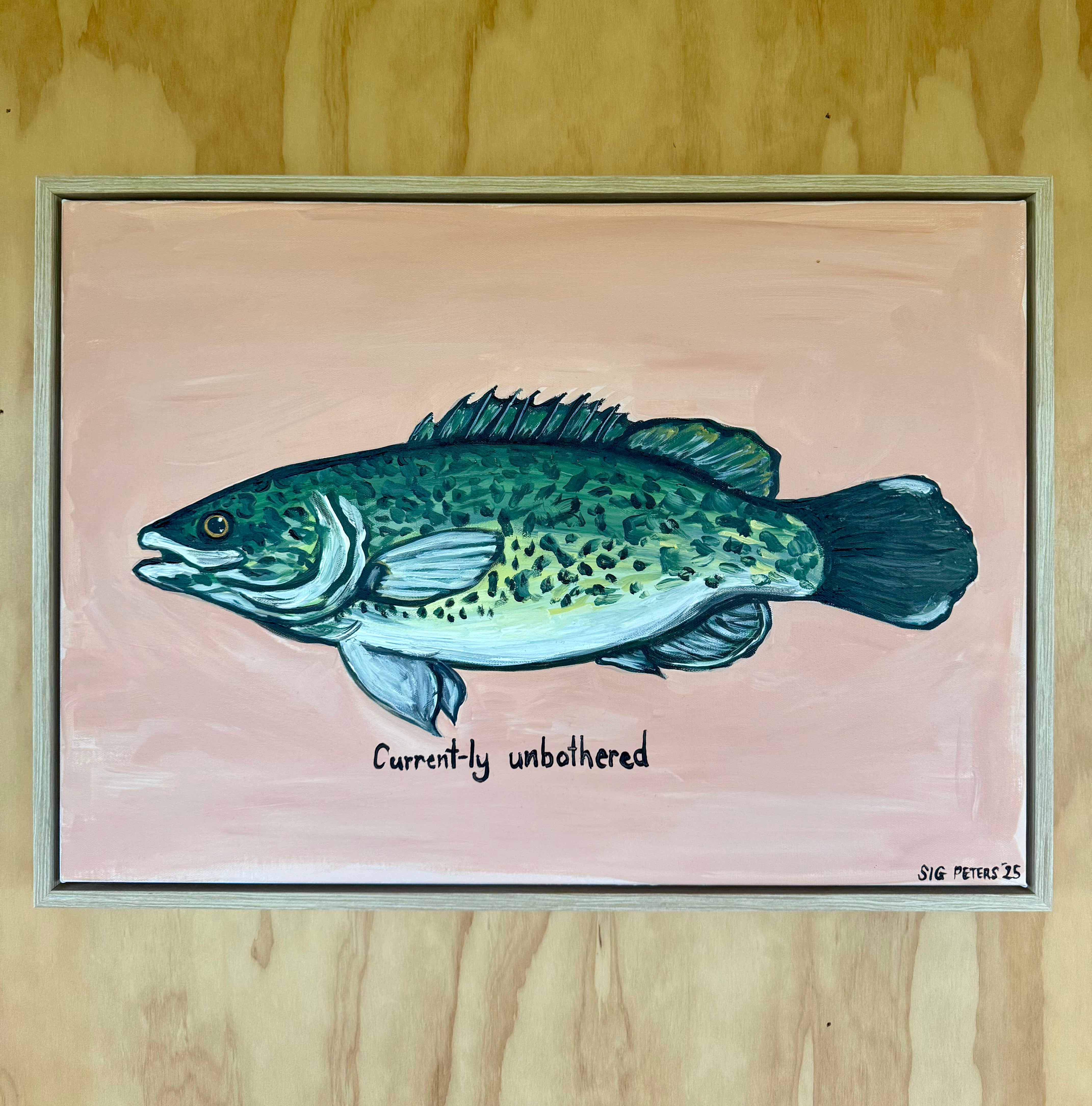 ‘currently unbothered’