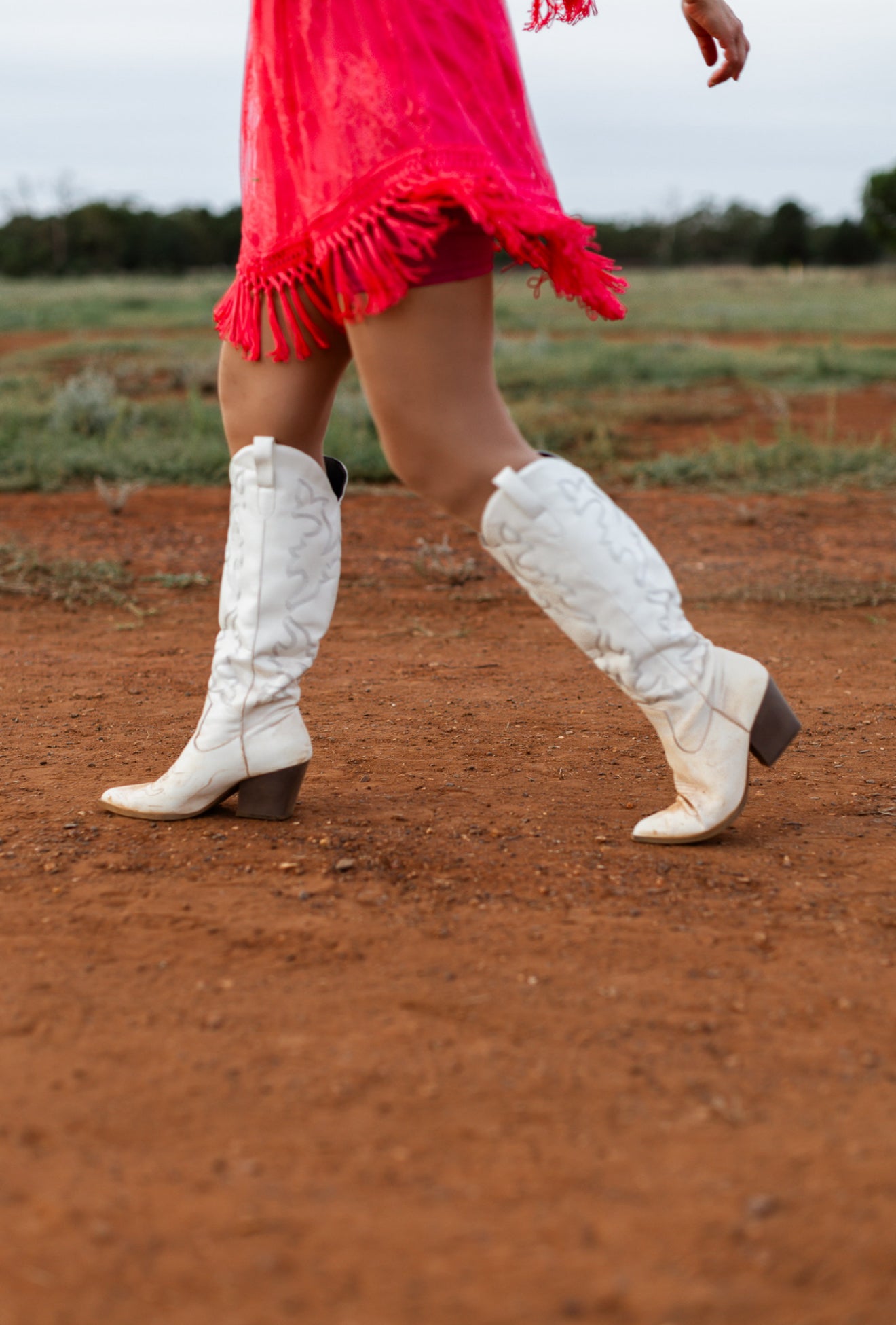 COBAR Palettes / Palates In The Paddock 2026